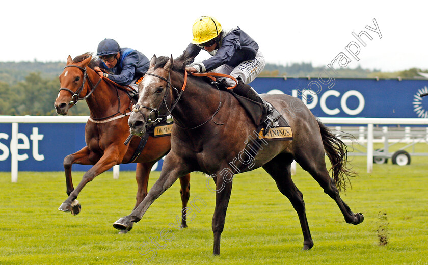 Speak-In-Colours-0004 
 SPEAK IN COLOURS (Ryan Moore) wins The Twinings Novice Auction Stakes Div1 Ascot 8 Sep 2017 - Pic Steven Cargill / Racingfotos.com