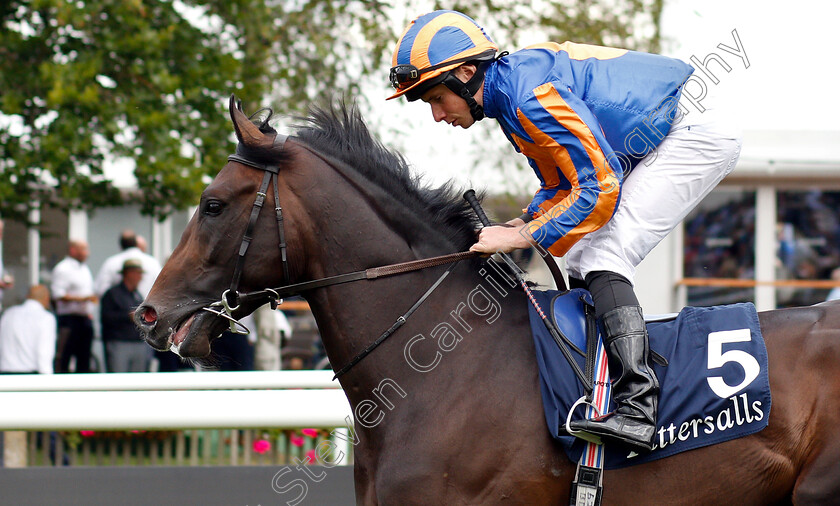 King-Neptune-0001 
 KING NEPTUNE (Ryan Moore)
Newmarket 11 Jul 2019 - Pic Steven Cargill / Racingfotos.com