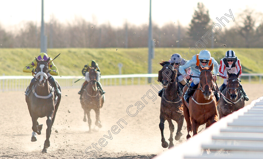 Double-Martini-0001 
 DOUBLE MARTINI (James Sullivan) wins The Peter Andre Ladies' Day Handicap
Chelmsford 11 Feb 2020 - Pic Steven Cargill / Racingfotos.com