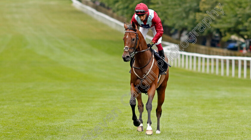 Jumby-0001 
 JUMBY (Edward Greatrex)
Newmarket 10 Aug 2024 - Pic Steven Cargill / Racingfotos.com