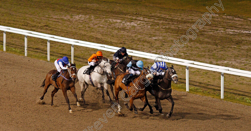 Spring-Romance-0001 
 SPRING ROMANCE (right, David Probert) beats HEALING POWER (2nd right) in The CCR Handicap
Chelmsford 4 Mar 2021 - Pic Steven Cargill / Racingfotos.com