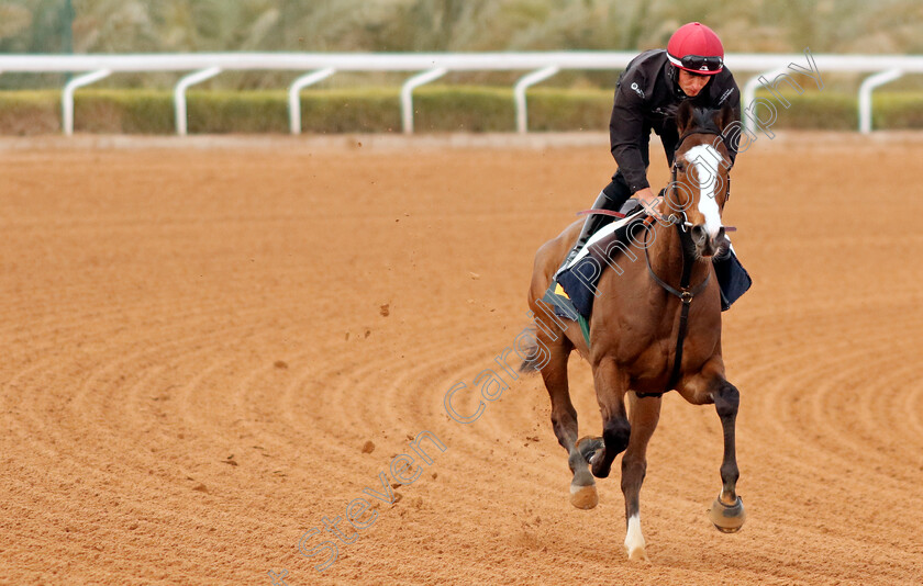 Spirit-Dancer-0002 
 SPIRIT DANCER training for The Neom Turf Cup
King Abdulaziz Racetrack, Saudi Arabia 22 Feb 2024 - Pic Steven Cargill / Racingfotos.com