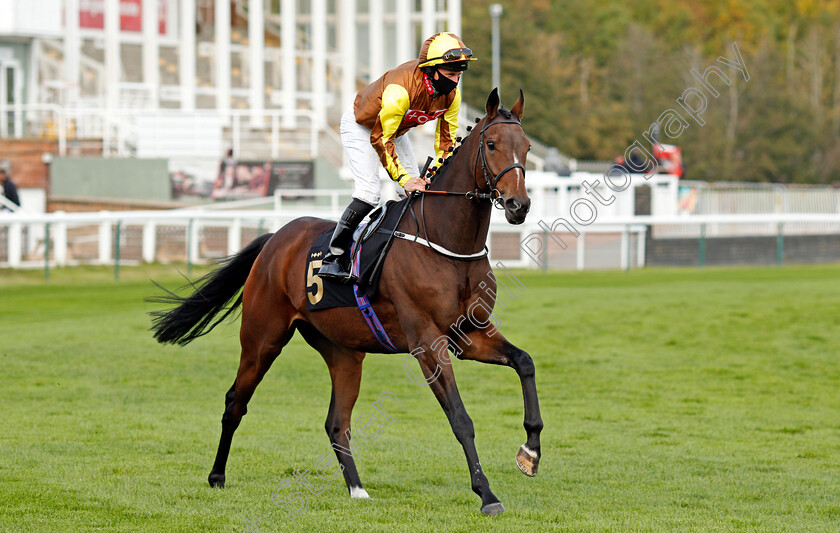 Furzig-0001 
 FURZIG (Paul Hanagan)
Nottingham 14 Oct 2020 - Pic Steven Cargill / Racingfotos.com