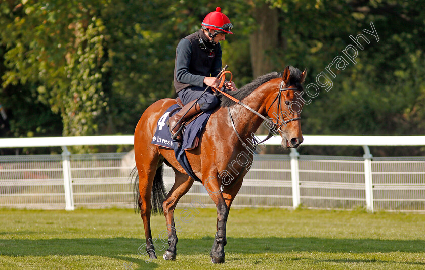 Perfect-Clarity-0014 
 PERFECT CLARITY (Adam, Kirby) after exercising at Epsom Racecourse in preparation for The Investec Oaks, 22 May 2018 - Pic Steven Cargill / Racingfotos.com