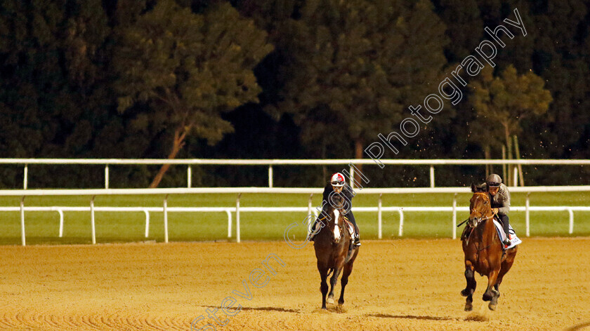 Cafe-Pharoah-and-Danon-Beluga-0001 
 CAFE PHAROAH (right) training for The Dubai World Cup with DANON BELUGA (left) training for The Dubai Turf
Meydan, Dubai, 22 Mar 2023 - Pic Steven Cargill / Racingfotos.com