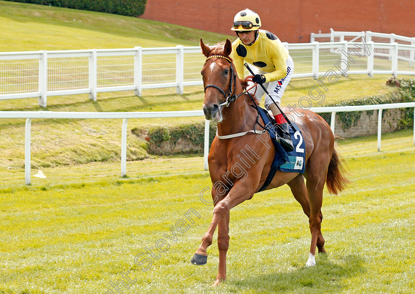 Rhea-0001 
 RHEA (Andrea Atzeni)
Sandown 25 Jul 2019 - Pic Steven Cargill / Racingfotos.com