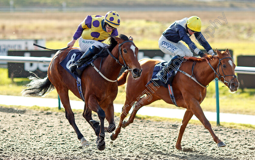 Banoffee-0003 
 BANOFFEE (left, Darragh Keenan) beats COLORANDO (right) in The Play Ladbrokes 5-A-Side On Football Claiming Stakes
Lingfield 29 Jan 2021 - Pic Steven Cargill / Racingfotos.com