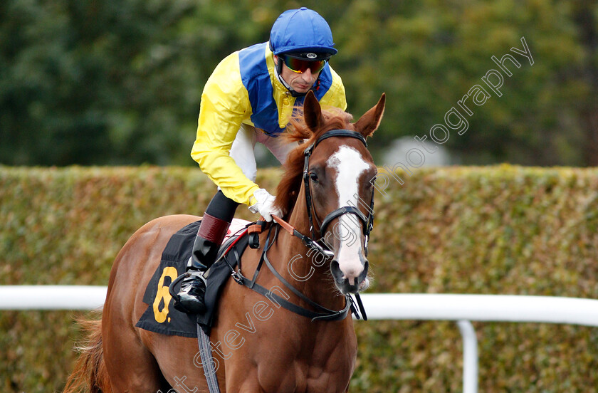 Guroor-0001 
 GUROOR (Gerald Mosse)
Kempton 29 Aug 2018 - Pic Steven Cargill / Racingfotos.com