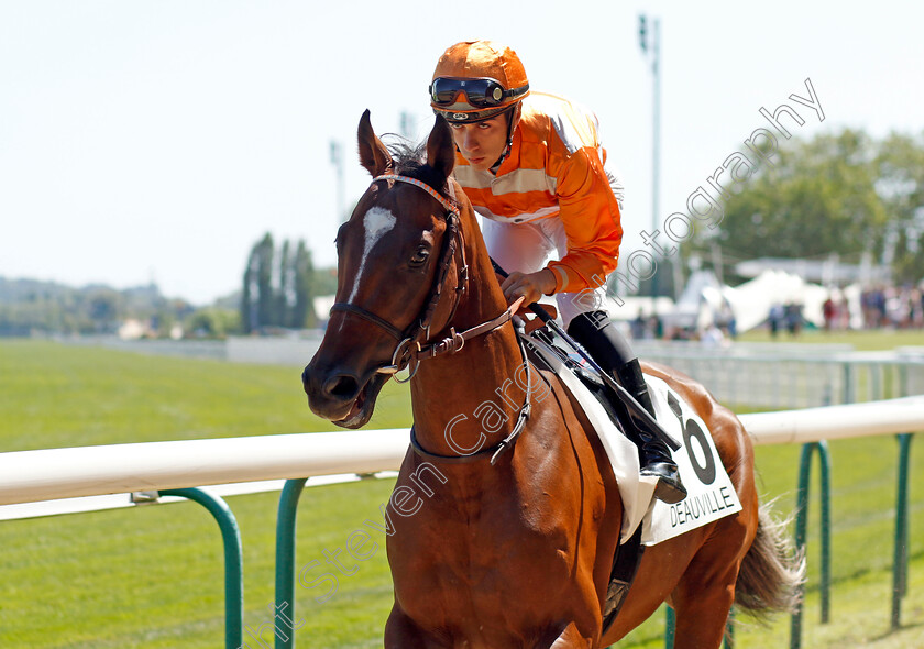 Bay-d Argent-0001 
 BAY D'ARGENT (A Orani)
Deauville 6 Aug 2022 - Pic Steven Cargill / Racingfotos.com