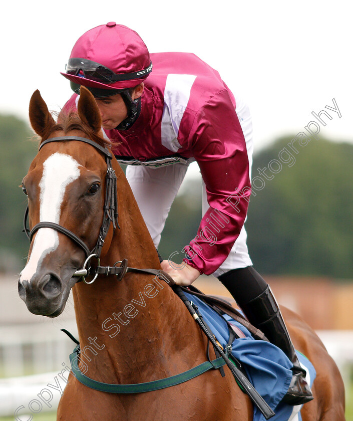 El-Astronaute-0001 
 EL ASTRONAUTE (Rossa Ryan) before winning The Sky Bet & Symphony Group Handicap
York 22 Aug 2018 - Pic Steven Cargill / Racingfotos.com