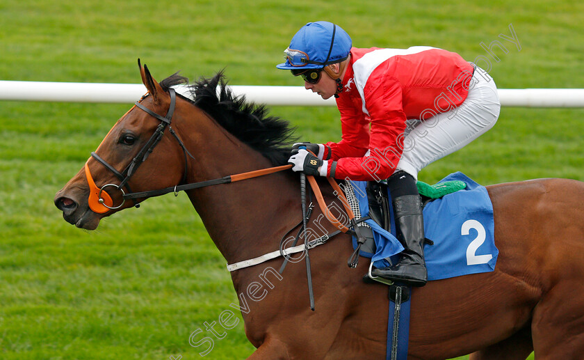 Benefit-0007 
 BENEFIT (John Fahy) wins The British Stallion Studs EBF Fillies Conditions Stakes
Leicester 12 Oct 2021 - Pic Steven Cargill / Racingfotos.com