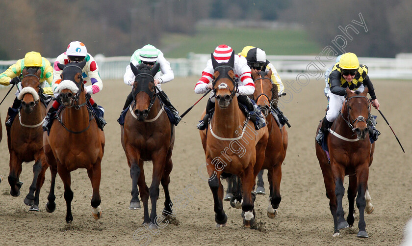 Highland-Acclaim-0003 
 HIGHLAND ACCLAIM (2nd right, David Probert) beats BALLYQUIN (right) THE ESTABLISHMENT (2nd left) and INAAM (left) in The Betway Handicap
Lingfield 2 Feb 2019 - Pic Steven Cargill / Racingfotos.com