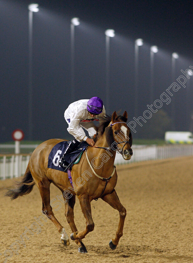 Stone-Soldier-0001 
 STONE SOLDIER (Luke Morris) winner of The Mansionbet Proud Partners of The AWC Conditions Stakes
Southwell 3 Mar 2022 - Pic Steven Cargill / Racingfotos.com