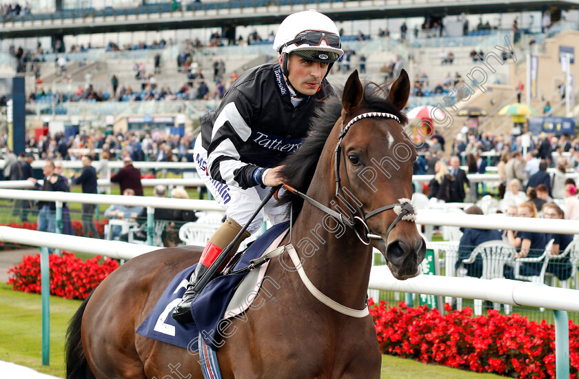 Hesslewood-0001 
 HESSLEWOOD (Andrea Atzeni)
Doncaster 12 Sep 2018 - Pic Steven Cargill / Racingfotos.com