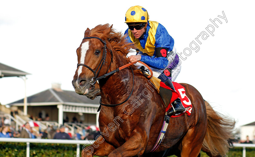 Dream-Of-Dreams-0006 
 DREAM OF DREAMS (Jim Crowley) wins The Betfred Mobile Wentworth Stakes Doncaster 11 Nov 2017 - Pic Steven Cargill / Racingfotos.com