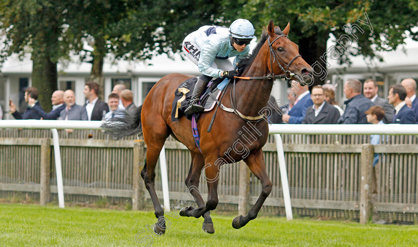 Reina-Del-Mar-0003 
 REINA DEL MAR (Saffie Osborne) wins The Turners Handicap
Newmarket 5 Aug 2023 - Pic Steven Cargill / Racingfotos.com