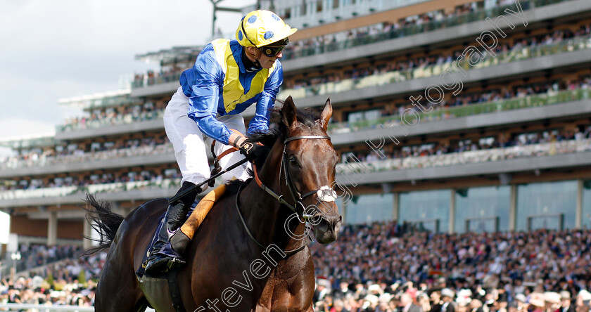 Poet s-Word-0007 
 POET'S WORD (James Doyle) wins The Prince Of Wales's Stakes
Royal Ascot 20 Jun 2018 - Pic Steven Cargill / Racingfotos.com