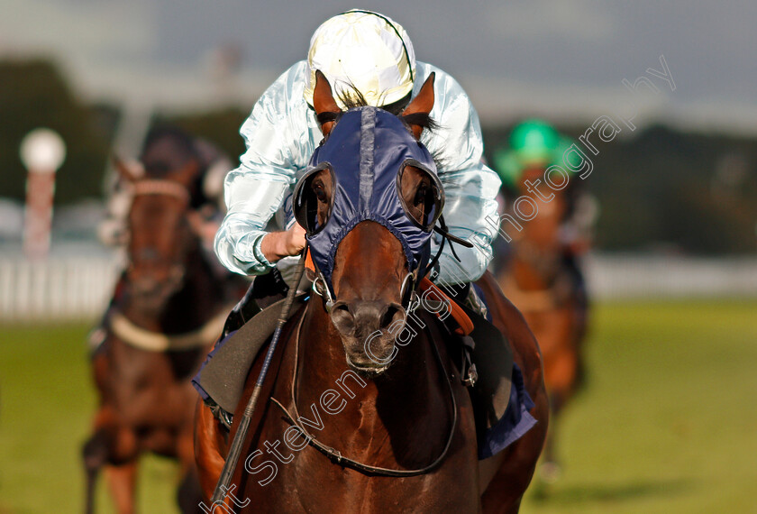 Pivoine-0005 
 PIVOINE (Ryan Moore) wins The Coopers Marquees Classified Stakes Doncaster 15 Sep 2017 - Pic Steven Cargill / Racingfotos.com