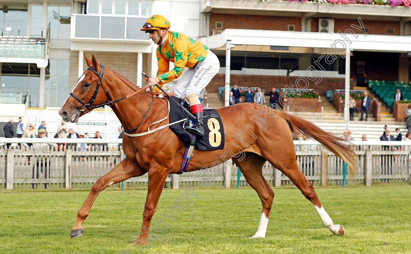 Tenerife-Sunshine-0007 
 TENERIFE SUNSHINE (Andrea Atzeni) winner of The Turners British EBF Maiden Stakes
Newmarket 22 Sep 2022 - Pic Steven Cargill / Racingfotos.com