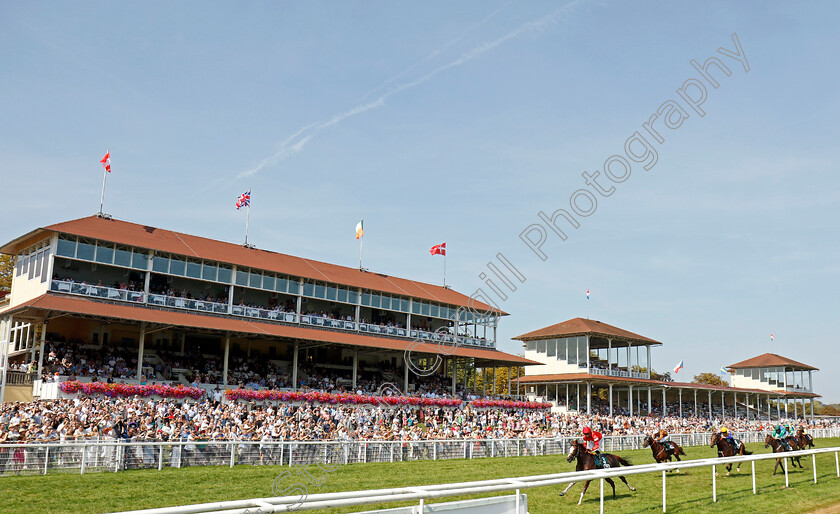 Macun-0002 
 MACUN (Thore Hammer-Hansen) wins The Regina Hacker Gedachtnisrennen
Baden-Baden 31 Aug 2024 - Pic Steven Cargill / Racingfotos.com