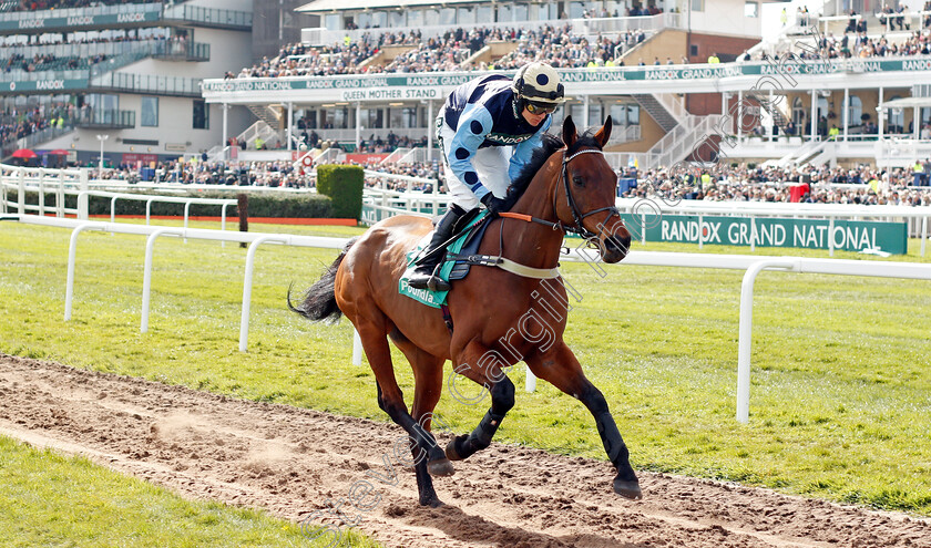 Edwardstone-0001 
 EDWARDSTONE (Tom Cannon)
Aintree 9 Apr 2022 - Pic Steven Cargill / Racingfotos.com