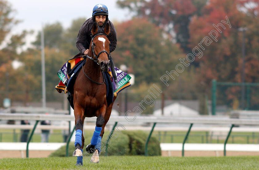 Enable-0009 
 ENABLE exercising ahead of the Breeders' Cup Turf
Churchill Downs 30 Oct 2018 - Pic Steven Cargill / Racingfotos.com