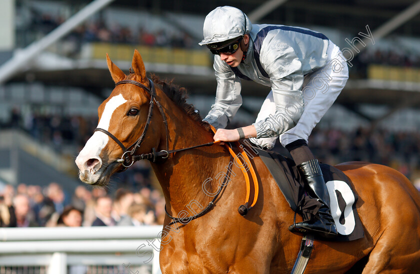 Lunar-Jet-0005 
 LUNAR JET (James Doyle) wins The Dubai Duty Free Millennium Millionaire Handicap
Newbury 13 Apr 2019 - Pic Steven Cargill / Racingfotos.com