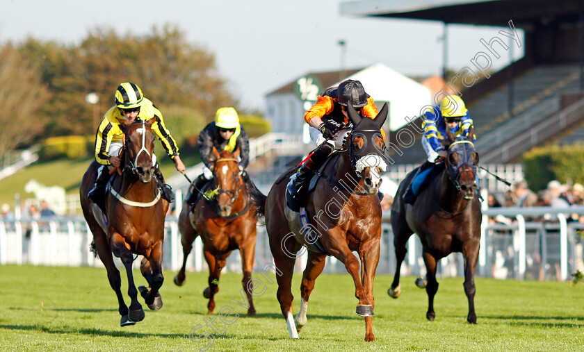 Raasel-0002 
 RAASEL (Adam Farragher) wins The Goodwood Apprentice Handicap
Goodwood 22 Sep 2021 - Pic Steven Cargill / Racingfotos.com