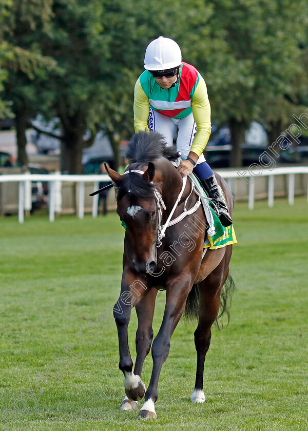 Quatre-Bras-0001 
 QUATRE BRAS (Marco Ghiani)
Newmarket 15 Jul 2023 - Pic Steven Cargill / Racingfotos.com