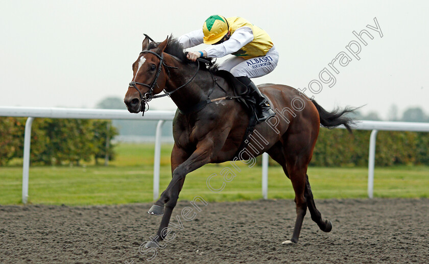 Pinnata-0002 
 PINNATA (Pat Cosgrave) Kempton 25 Sep 2017 - Pic Steven Cargill / Racingfotos.com