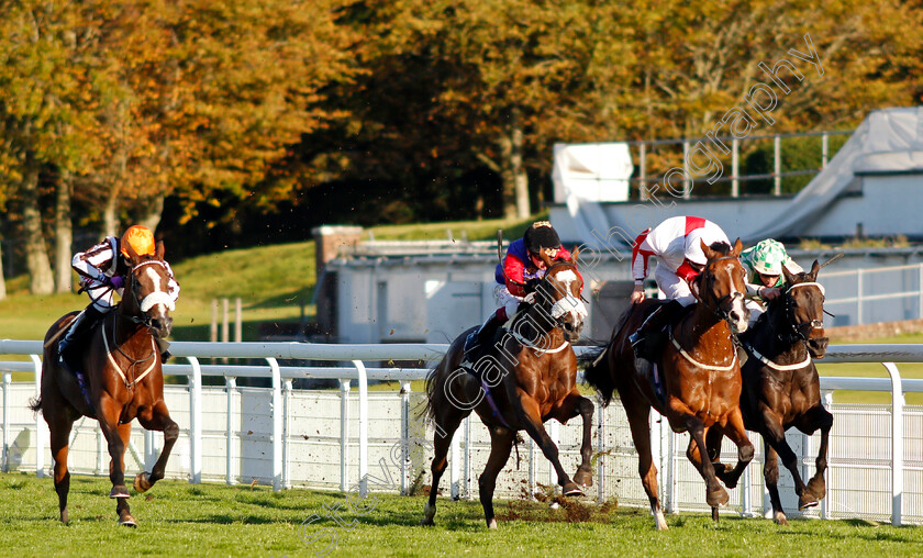 Natural-History-0002 
 NATURAL HISTORY (centre, Oisin Murphy) beats GOSHEN (2nd right) SPEED COMPANY (right) and HYANNA (left) in The Join tote.co.uk Handicap
Goodwood 11 Oct 2020 - Pic Steven Cargill / Racingfotos.com