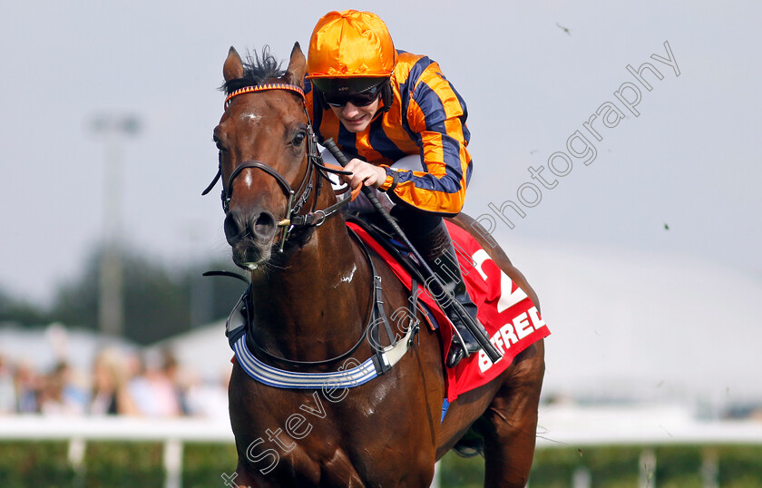 Dancing-Gemini-0003 
 DANCING GEMINI (Lewis Edmunds) wins The Betfred Flying Scotsman Stakes
Doncaster 15 Sep 2023 - Pic Steven Cargill / Racingfotos.com