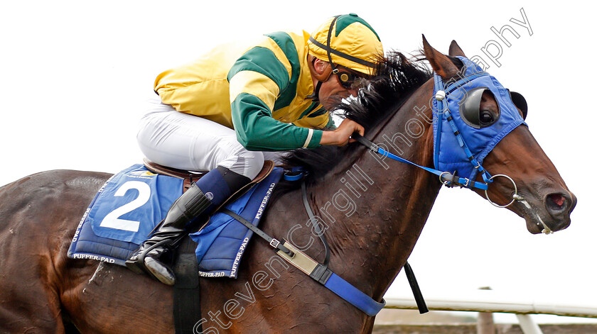 Bal-Amie-0001 
 BAL AMIE (Freddy Tett)
Les Landes Jersey 26 Aug 2019 - Pic Steven Cargill / Racingfotos.com