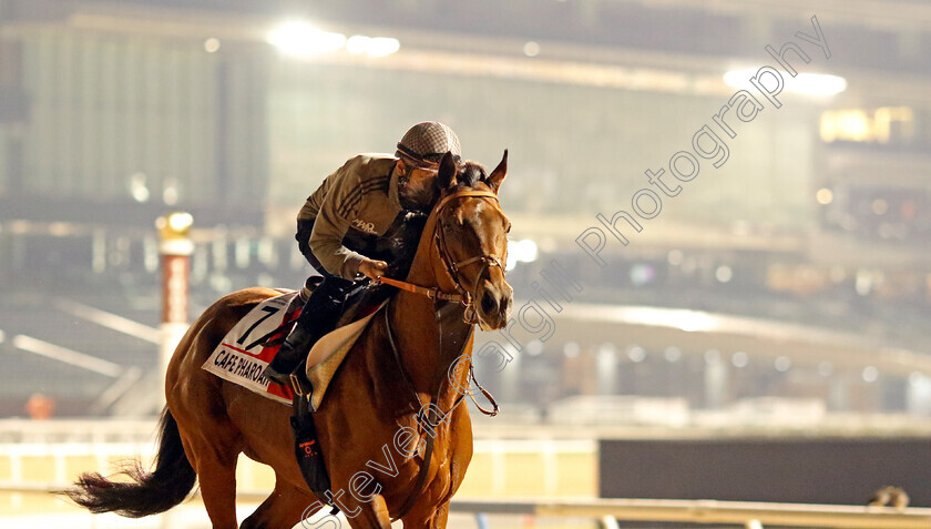 Cafe-Pharoah-0002 
 CAFE PHAROAH training for the Dubai World Cup
Meydan, Dubai, 21 Mar 2023 - Pic Steven Cargill / Racingfotos.com