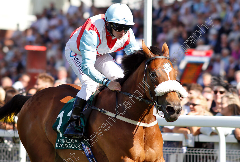 Under-The-Covers-0005 
 UNDER THE COVERS (P J McDonald) wins The Chelsea Barracks Handicap
Goodwood 31 Jul 2018 - Pic Steven Cargill / Racingfotos.com