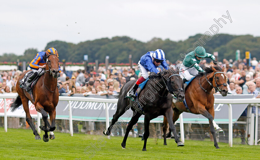 Mostahdaf-0006 
 MOSTAHDAF (Frankie Dettori) beats NASHWA (right) and PADDINGTON (left) in The Juddmonte International Stakes
York 23 Aug 2023 - Pic Steven Cargill / Racingfotos.com