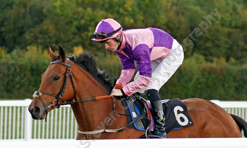 Summanus-0001 
 SUMMANUS (Dylan Hogan)
Chelmsford 3 Oct 2024 - Pic Steven Cargill / Racingfotos.com