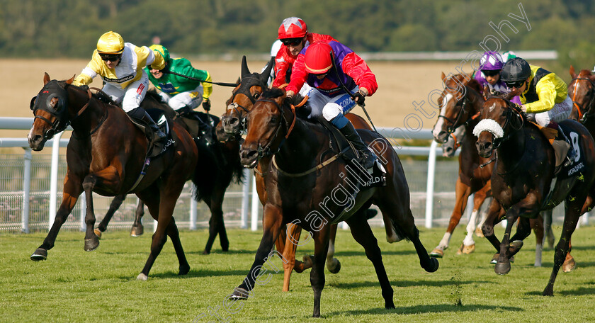 Blue-Prince-0001 
 BLUE PRINCE (David Probert) wins The HKJC World Pool Handicap
Goodwood 31 Jul 2024 - Pic Steven Cargill / Racingfotos.com