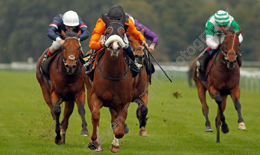 Raasel-0003 
 RAASEL (William Buick) wins The Persimmon Homes Handicap 
Nottingham 13 Oct 2021 - Pic Steven Cargill / Racingfotos.com