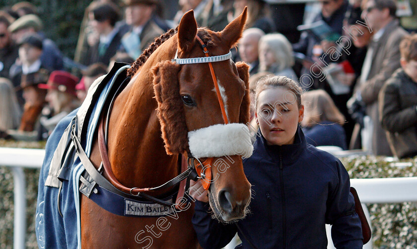 Another-Venture-0004 
 ANOTHER VENTURE Ascot 17 Feb 2018 - Pic Steven Cargill / Racingfotos.com