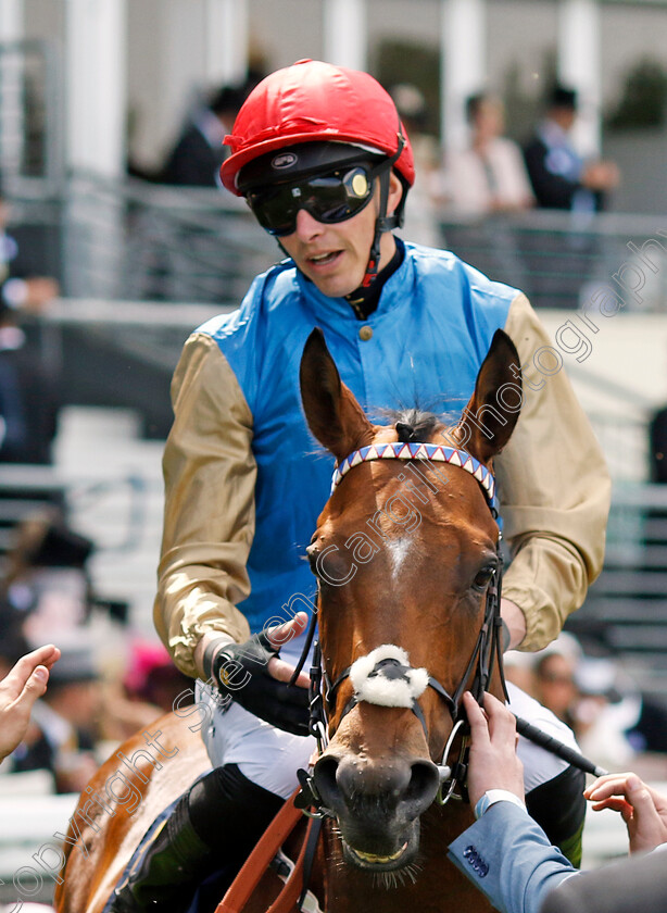 Shareholder-0002 
 SHAREHOLDER (James Doyle) winner of The Norfolk Stakes
Royal Ascot 20 Jun 2024 - Pic Steven Cargill / Racingfotos.com