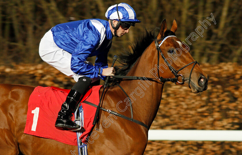 Al-Badr-0001 
 AL BADR (Jack Mitchell)
Kempton 19 Feb 2020 - Pic Steven Cargill / Racingfotos.com