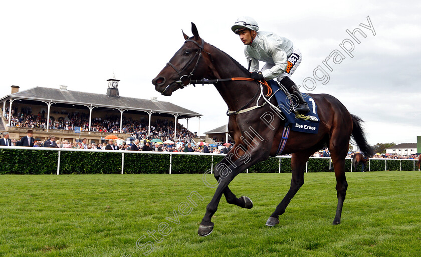 Dee-Ex-Bee-0001 
 DEE EX BEE (Silvestre De Sousa)
Doncaster 15 Sep 2018 - Pic Steven Cargill / Racingfotos.com