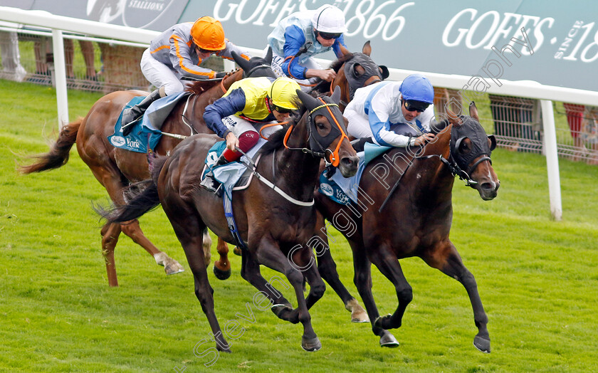 Ropey-Guest-0002 
 ROPEY GUEST (right, Tom Queally) beats POINT LYNAS (centre) in The Clipper Handicap
York 24 Aug 2023 - Pic Steven Cargill / Racingfotos.com