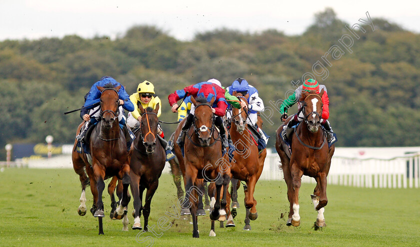 Powerful-Breeze-0001 
 POWERFUL BREEZE (centre, James Doyle) beats RUN WILD (right) and ALPEN ROSE (left) in The William Hill May Hill Stakes
Doncaster 12 Sep 2019 - Pic Steven Cargill / Racingfotos.com