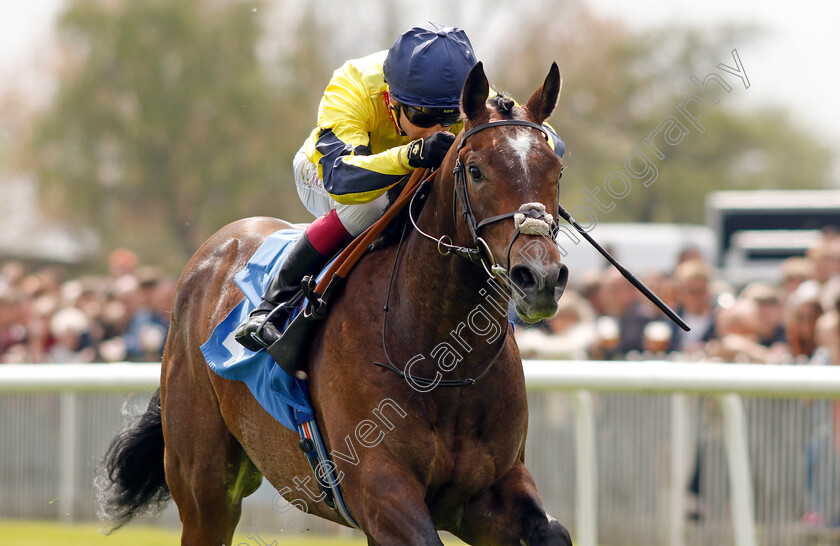 Spanish-Phoenix-0001 
 SPANISH PHOENIX (Oisin Murphy) wins The Atlantic Pale Ale Maiden Stakes
Leicester 29 Apr 2023 - Pic Steven Cargill / Racingfotos.com