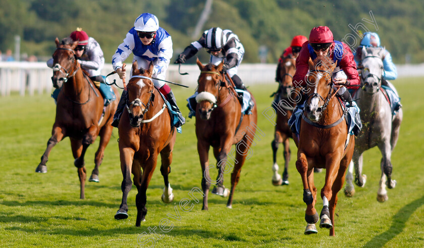 Diamond-Bay-0003 
 DIAMOND BAY (right, Daniel Tudhope) beats STATE LEGEND (left) in The Constant Security Handicap
York 16 Jun 2023 - Pic Steven Cargill / Racingfotos.com