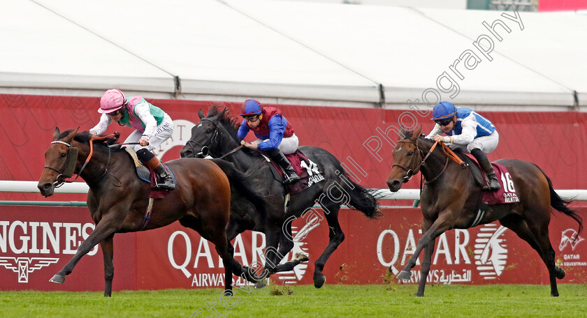 Bluestocking-0012 
 BLUESTOCKING (Rossa Ryan) wins The Qatar Prix de l'Arc de Triomphe
Longchamp 6 Oct 2024 - Pic Steven Cargill / Racingfotos.com