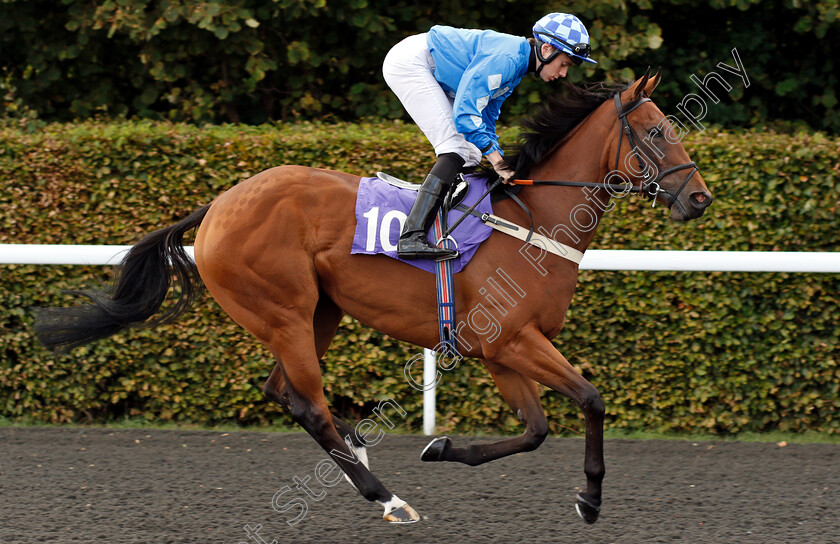 Sweet-And-Dandy-0001 
 SWEET AND DANDY (Callum Shepherd)
Kempton 18 Sep 2018 - Pic Steven Cargill / Racingfotos.com