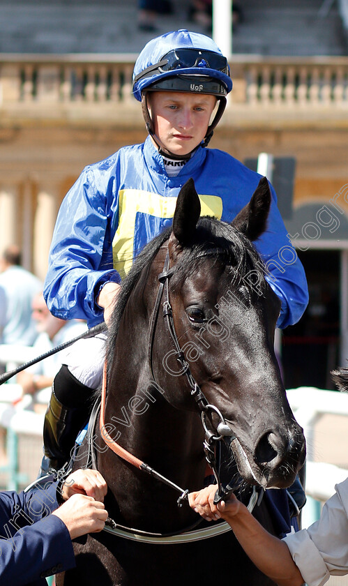 Al-Fajir-Mukbile-0001 
 AL FAJIR MUKBILE (Tom Marquand)
Doncaster 29 Jun 2018 - Pic Steven Cargill / Racingfotos.com